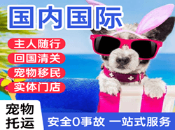保山云瑞机场货运国际宠物托运 【国